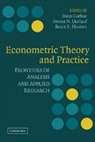 Dean Corbae, Dean (University of Texas Corbae, Dean Durlauf Corbae, Dean Corbae, Corbae Dean, Steven N. Durlauf... - Econometric Theory and Practice