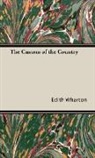 Edith Wharton - The Custom of the Country