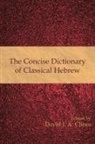 David J.A. Clines, David J. A. Clines - The Concise Dictionary of Classical Hebr
