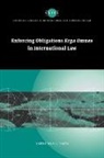Tams Christian J., Christian J. Tams - Enforcing Obligations Erga Omnes in Inte