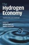 Michael Ball, Michael Wietschel Ball, Professor Michael Wietschel Ball, Michael Ball, Martin Wietschel - Hydrogen Economy