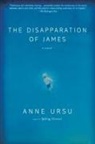 Anne Ursu - Disapparation of James