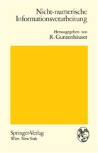 Gunzenhäuser, R Gunzenhäuser, R. Gunzenhäuser, Rul Gunzenhäuser - Nicht-numerische Informationsverarbeitung