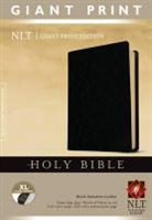 Tyndale (COR), Tyndale, Tyndale House Publishers - Holy Bible