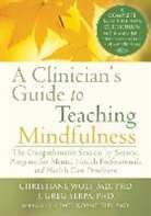 J Greg Serpa, J. Greg Serpa, Christiane Wolf, Christiane Serpa Wolf, Christiane/ Serpa Wolf - Clinician's Guide to Teaching Mindfulness