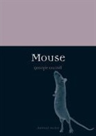 Carroll, Georgie Carroll - Mouse