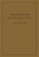 A Eichenwald, A. Eichenwald - Vorlesungen über Elektrizität