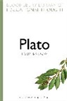 Robin Barrow, Barrow Robin, Richard Bailey - Plato