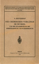 Otto Meyerhof, M. Gildmeister, Goldschmidt, R Goldschmidt, R. Goldschmidt, C. Neuberg... - Die chemischen Vorgänge im Muskel und ihr Zusammenhang mit Arbeitsleistung und Wärmebildung