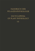 Steiner, M Steiner, M. Steiner, Maximillian Steiner - Stoffwechselphysiologie der Fette und Fettähnlicher Stoffe / The Metabolism of Fats and Related Compounds