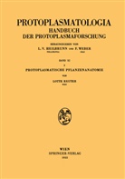 Lotte Reuter - Protoplasmatische Pflanzenanatomie
