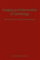 A Nienaber, C A Nienaber, C. A. Nienaber, Christoph A. Nienaber, P Sechtem, P Sechtem... - Imaging and Intervention in Cardiology