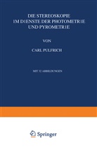 Carl Pulfrich - Die Stereoskopie