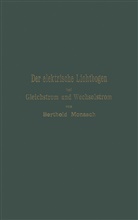 Berthold Monasch - Der elektrische Lichtbogen bei Gleichstrom und Wechselstrom und seine Anwendungen