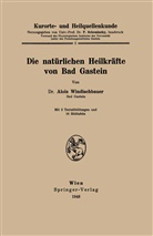 Alois Windischbauer, F. Scheminzky, Ferdinan Scheminzky, Ferdinand Scheminzky - Kurorte- und Heilquellenkunde