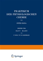 H Kleinmann, H. Kleinmann, Pete Rona, Peter Rona - Praktikum der Physiologischen Chemie