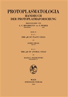 Jame Small, James Small, Floyd J Wiercinsky, Floyd J. Wiercinsky - The pH of Plant Cells The pH of Animal Cells