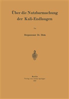 Dietz, NA Dietz - Über die Nutzbarmachung der Kali-Endlaugen