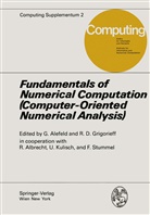 Alefeld, G Alefeld, G. Alefeld, Götz Alefeld, Grigorieff, Grigorieff... - Fundamentals of Numerical Computation (Computer-Oriented Numerical Analysis)