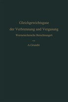 A. Grumbt, Alfred Grumbt - Gleichgewichtsgase der Verbrennung und Vergasung