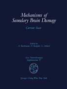 Alexander Baethmann, Olive Kempski, Oliver Kempski, Ludwig Schürer - Mechanisms of Secondary Brain Damage