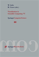 Grave, Grave, Michel Grave, Wilfri Lefer, Wilfrid Lefer - Visualization in Scientific Computing '97