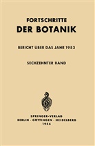 Erns Gäumann, Ernst Gäumann, Otto Renner, Ernst Gäumann, Otto Renner - Bericht über das Jahr 1953