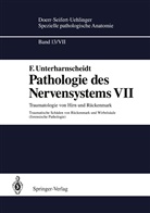 F Unterharnscheidt, F. Unterharnscheidt - Spezielle pathologische Anatomie - 13 / 7: Traumatologie von Hirn und Rückenmark Traumatische Schäden von Rückenmark und Wirbelsäule (forensische Pathologie)