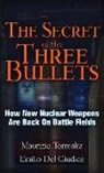 Emilio Del Giudice, Maurizio Torrealta, Maurizo Torrealta - The Secret of the Three Bullets