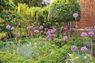 Stephen Lacey, Andrew Lawson, Andrew Lawson, Andrew Lawson - The Royal Horticultural Society Companion to Scented Plants