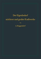 Alexander Roggendorf - Der Eigenbedarf mittlerer und großer Kraftwerke