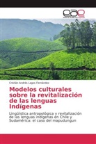 Cristián Andrés Lagos Fernández - Modelos culturales sobre la revitalización de las lenguas Indígenas