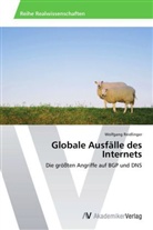 Wolfgang Reidlinger - Globale Ausfälle des Internets