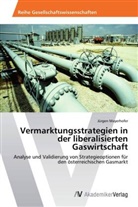 Jürgen Mayerhofer - Vermarktungsstrategien in der liberalisierten Gaswirtschaft