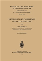 Otto Braitsch - Entstehung und Stoffbestand der Salzlagerstätten