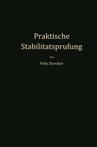 Felix Strecker - Praktische Stabilitätsprüfung