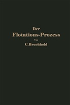 C Bruchhold, C. Bruchhold - Der Flotations-Prozess