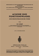 E Bay, E. Bay - Agnosie und Funktionswandel