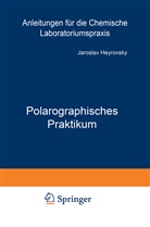 Jaroslav Heyrovsky, Jaroslav Heyrovský - Polarographisches Praktikum