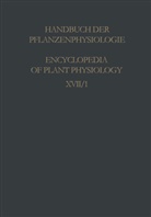 Bünning, E Bünning, E. Bünning - Physiology of Movements / Physiologie der Bewegungen