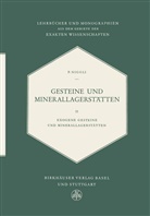Ernst Niggli, P Niggli, P. Niggli, Paul Niggli - Gesteine Und Minerallagerstätten