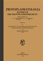 Erwin Bünning - Polarität und Inäquale Teilung des Pflanzlichen Protoplasten