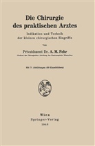 A M Fehr, A. M. Fehr, A.M. Fehr - Die Chirurgie des praktischen Arztes
