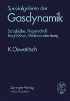 Klaus Oswatitsch - Spezialgebiete der Gasdynamik