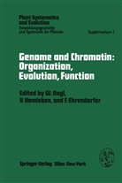 F Ehrendorfer, F. Ehrendorfer, Friedrich Ehrendorfer, Hemleben, V Hemleben, V. Hemleben... - Genome and Chromatin: Organization, Evolution, Function