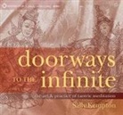 Sally Kempton - Doorways to the Infinite Audio CD (Audio book)