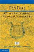 Jr William H. Bellinger, William H. Bellinger, W. H. Bellinger Jr, William H. Bellinger Jr, Walter Brueggemann, Walter Bellinger Brueggemann... - Psalms