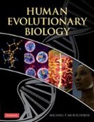 Michael Muehlenbein, Michael P. Muehlenbein, Michael P. Muehlenbein - Human Evolutionary Biology