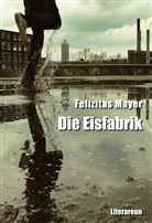 Felizitas Mayer - Die Eisfabrik