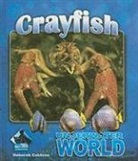 Deborah Coldiron - Crayfish